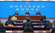 2024年陕西检察机关办理各类知识产权案件549件