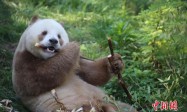 人这一辈子，一定要去一趟西安！