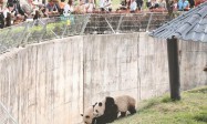清明假期陕西旅游市场持续火热