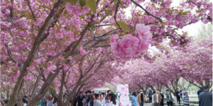 西京学院：“沉浸式”课堂让美育润物无声