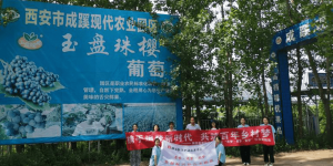 陕能院寻梦·逐梦·筑梦社会实践队开展探访乡村振兴领头人实践活动