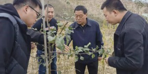 延安职业技术学院到帮扶村调研乡村振兴工作