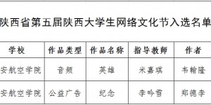西安航空学院在第五届陕西大学生网络文化节中荣获佳绩