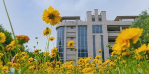 西安科技大学“矿山智能安全与应急创新型人才国际合作培养项目”获批！