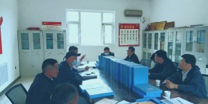 省级定点帮扶工作考核小组对西安欧亚学院驻村帮扶点实地核查