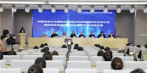 中国语言文化国际传播理论和实践国际学术研讨会在西译成功举办