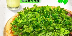 「好多好多香菜皮蛋牛肉比萨」重生归来