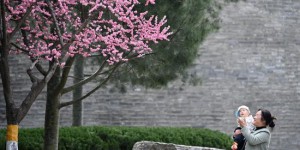 千年古都的“绿野仙踪” 西安建设公园城市见闻