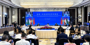 共话发展机遇 陕西—中亚经贸合作对接会举办