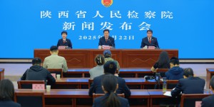 2024年陕西检察机关办理各类知识产权案件549件