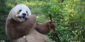 人这一辈子，一定要去一趟西安！