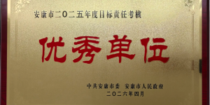 喜报！中国人寿寿险安康分公司荣获安康市2025年度目标责任考核优秀单位