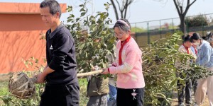 大手拉小手  共植幸福树