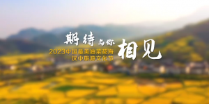 寻味汉中美食 赏最美油菜花海