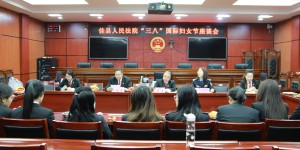 佳县法院召开“三八”国际妇女节座谈会