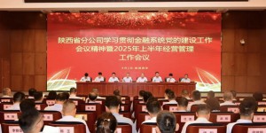 中国人寿保险股份有限公司陕西省分公司召开全省系统学习贯彻金融系统党的建设工作会议精神暨2025年上半年经营管理工作会议