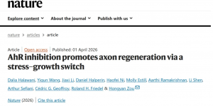 红会医院运动医学诊疗中心科研团队首登《自然》期刊