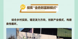 一图概览中国人寿陕西分公司乡村振兴进阶之路