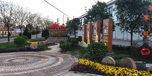 彬州市韩家镇：打造美丽乡村 助力乡村振兴