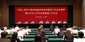 中国人寿寿险公司召开学习贯彻金融系统党的建设工作会议精神暨2025年上半年经营管理工作会议