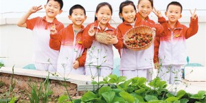 西安市中小学校在开展劳动教育上先行一步