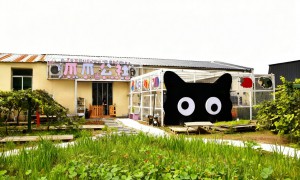 西安“爪爪公社”—每天都是领养日