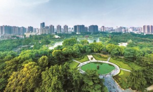 碑林区第十三次荣膺陕西省城区经济社会发展“五强区”殊荣