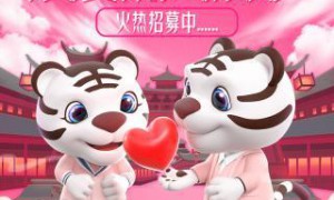 “大国小家幸福美满”浪漫新人派对 国美爱情图鉴即将上演