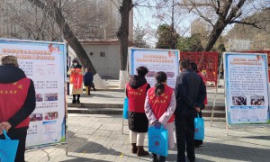 维护妇女儿童权益 促进社会和谐发展