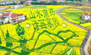 约你在花海 等你在汉中