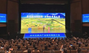 陕西汉中重点产业链专题推介会举行