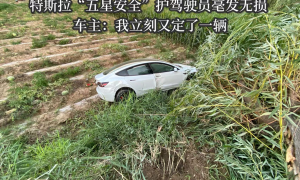 特斯拉“五星安全”护驾驶员毫发无损 车主：我立刻又定了一辆