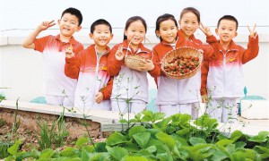 西安市中小学校在开展劳动教育上先行一步