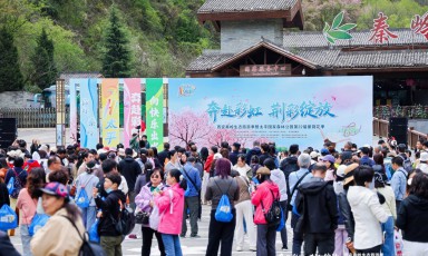 奔赴彩虹 荆彩绽放！ 西安秦岭生态旅游季暨太平国家森林公园第二十二届紫荆花季盛大启幕