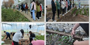 安康学院农生学院2021级茶学专业开展见习实践教学活动