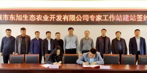 安康学院与汉滨区人民政府共建专家工作站揭牌