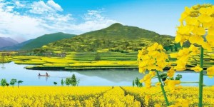 2023中国最美油菜花海汉中旅游文化节活动精彩来袭