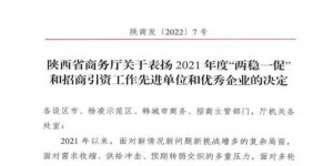 2021年陕西新能源汽车销售同比增长81%，特斯拉获陕西省表彰