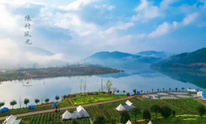 2023中国最美油菜花海汉中旅游文化节3月中上旬在南郑启动