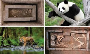 中国唯一 汉文帝霸陵动物殉葬坑入选2023世界十大考古发现