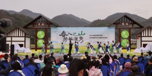 2024最美油菜花海汉中旅游文化节镇巴分会场活动开幕