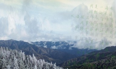 西安市2023年六五环境日公益宣传片《写给大地的诗》发布