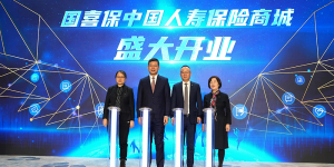 中国人寿寿险公司在京举办互联网保险商城上线发布会