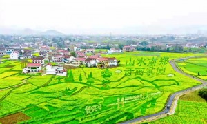 2022中国最美油菜花海汉中旅游文化节暨汉中春季主题招商周活动启动