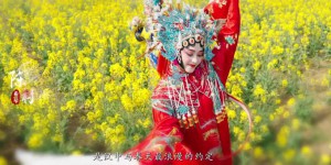 汉中文旅宣传短片《花舞汉中》带你感受