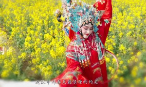 汉中文旅宣传短片《花舞汉中》带你感受