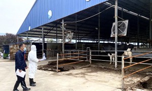 生态环境三原分局开展规模化畜禽养殖业专项执法检查